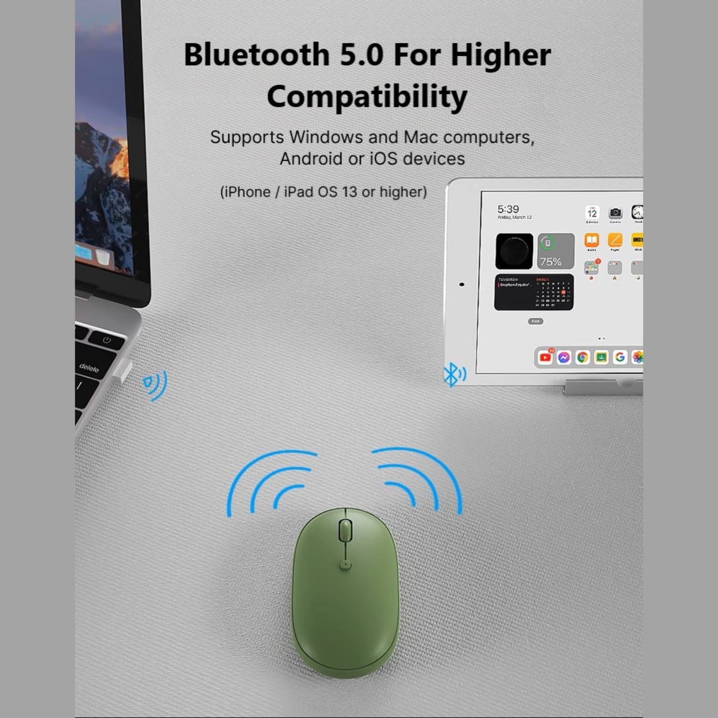BOW Bluetooth Wireless Mouse