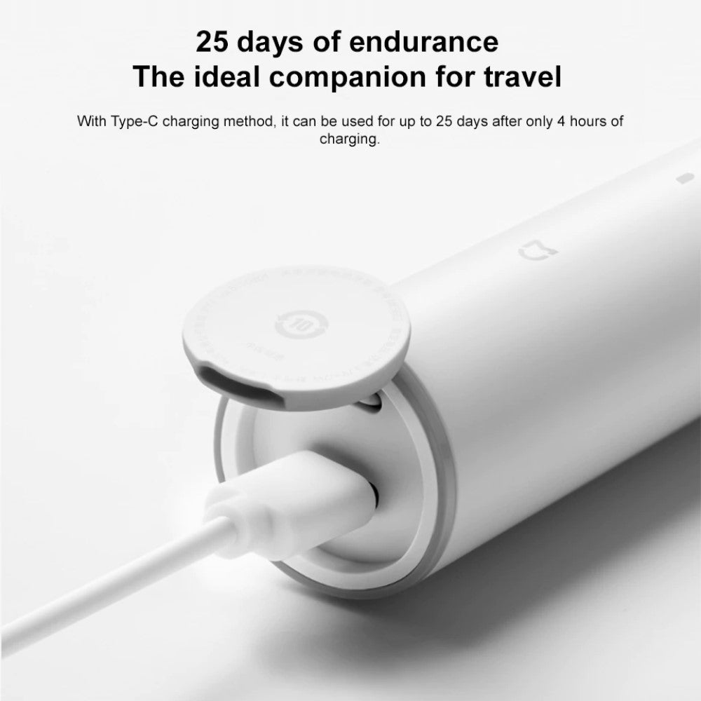 T300 Rechargeable Electronic Toothbrush